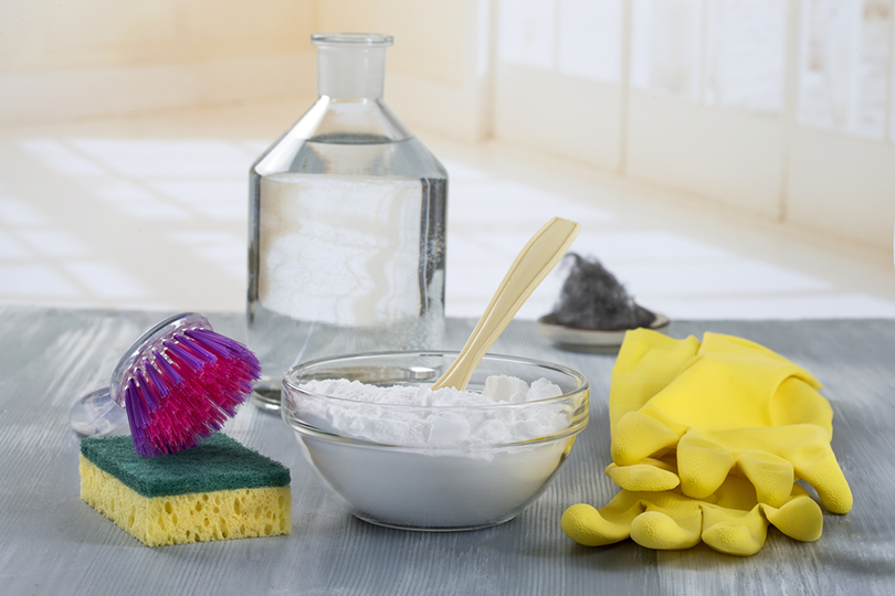 6 Proven Ways to Remove Cat Urine Odor & Stains from Leather