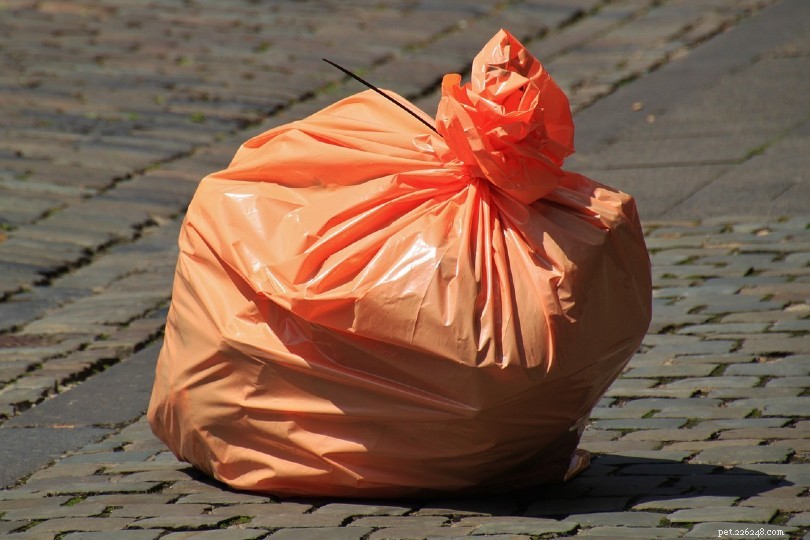 Safe and Eco‑Friendly Ways to Dispose of Cat Waste: A Practical Guide