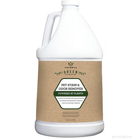 How Long Does Cat Urine Odor Last? Proven Tips to Erase It Quickly