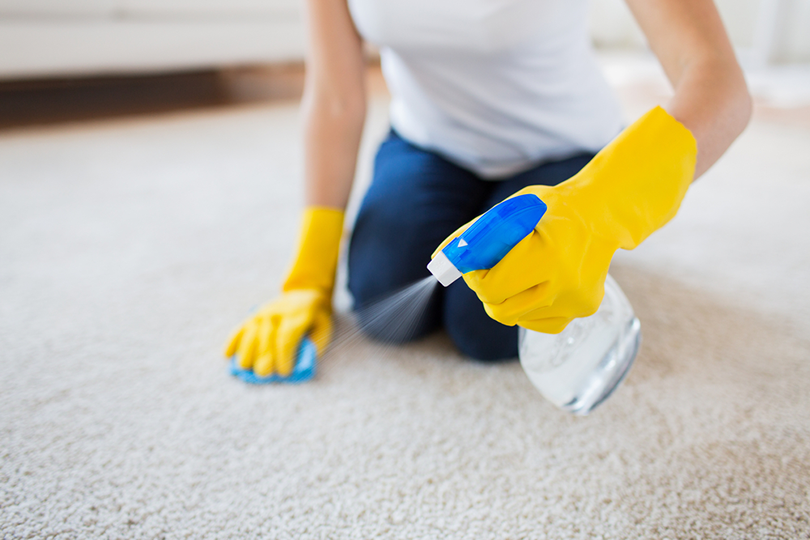 Eliminate Cat Urine Odor and Stains from Carpets: A Proven Guide