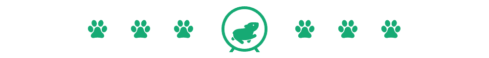 Gerbil vs. Guinea Pig: Which Small‑Animal Pet Suits Your Lifestyle?