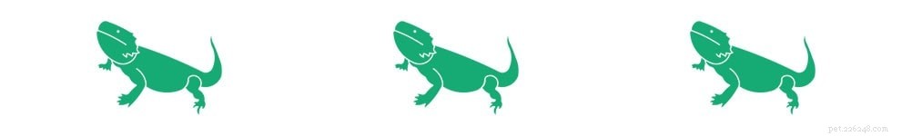 The Leopard Gecko: A Rewarding, Low-Maintenance Pet