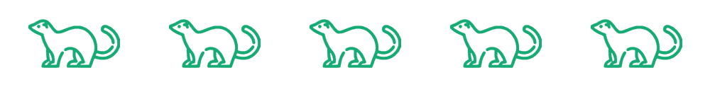 Mink vs. Ferret: Distinguishing Features & Care Tips (Illustrated Guide)