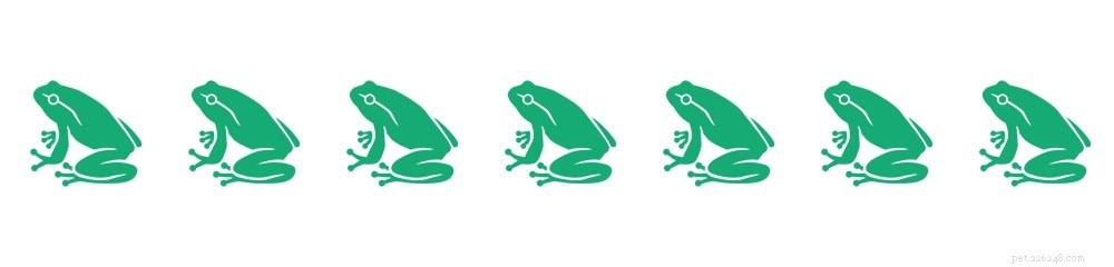 Pacman Frog Care Guide: Low-Maintenance, Unique Amphibian Pet