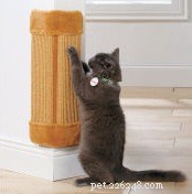 Train Your Cat to Scratch Only on Your Preferred Surfaces