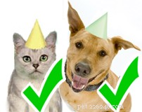 Discover Pet-Friendly Rentals: Find the Perfect Home for You & Your Furry Friends