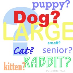 How to Choose the Right Pet and Avoid Common Mistakes