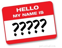 Discover 250 Creative Pet Names for Your New Companion