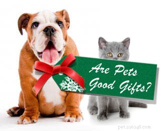 3 Expert Tips for Safely Gifting a Pet