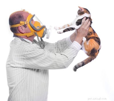 Choosing a Pet When You’re Allergic: A Practical Guide