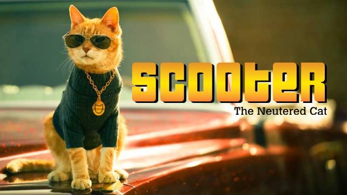 Meet Scooter: The Neutered Cat Advocating Responsible Pet Care