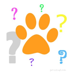 Know What You re Getting: A Realistic Guide to Pet Adoption