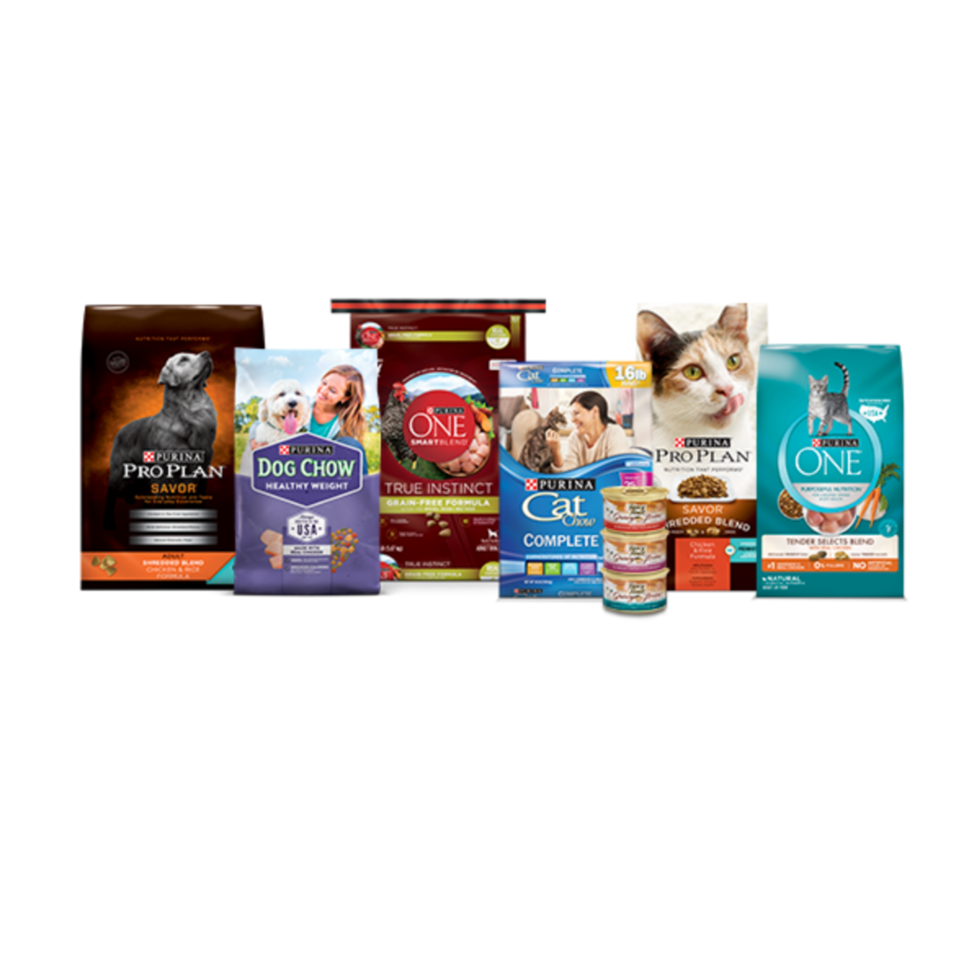 The Ultimate Holiday Gift Guide for Your Four‑Legged Family