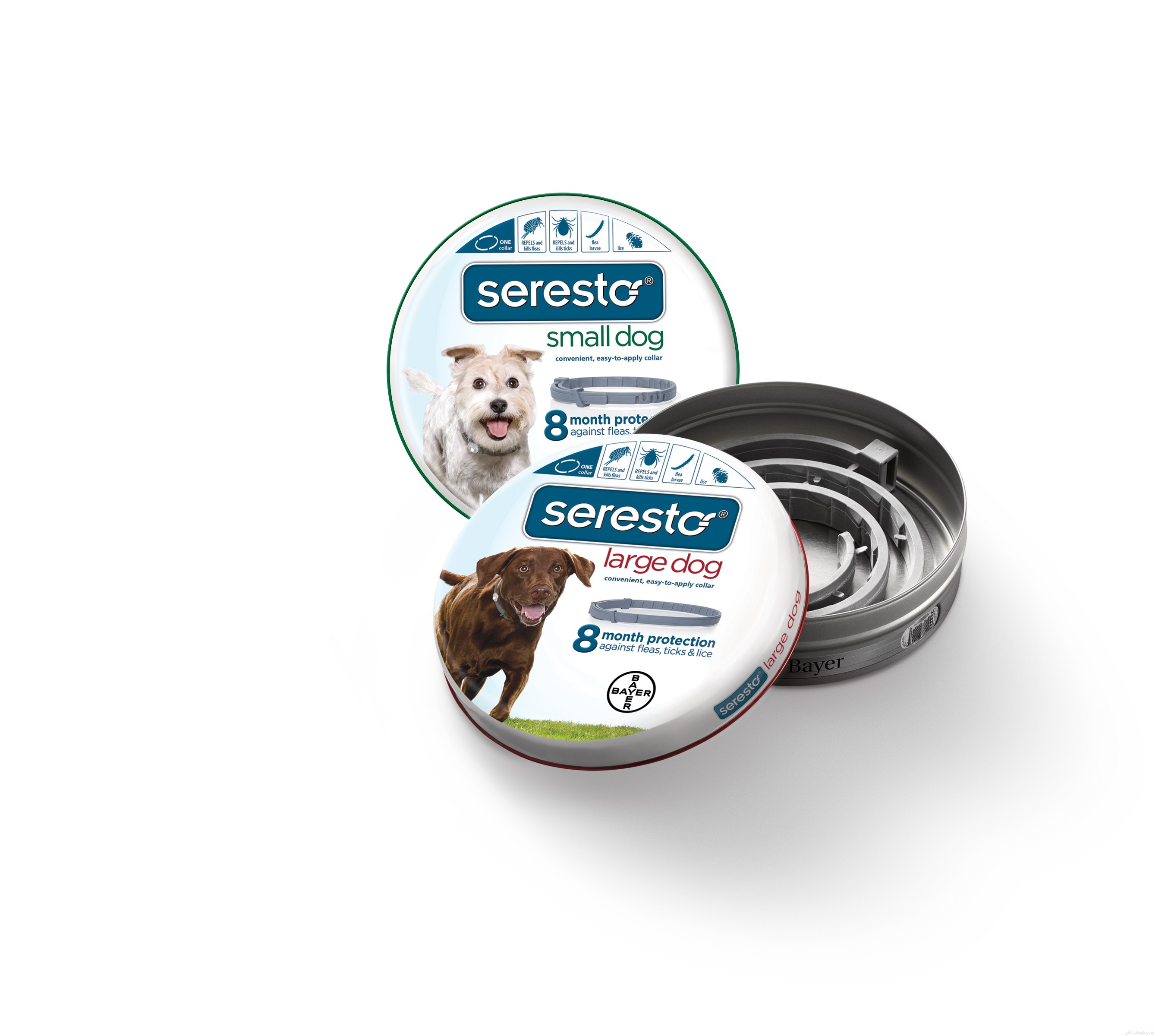 The Ultimate Holiday Gift Guide for Your Four‑Legged Family