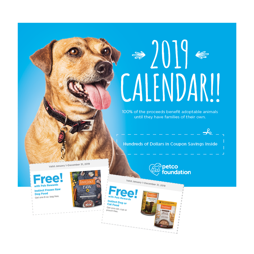 The Ultimate Holiday Gift Guide for Your Four‑Legged Family
