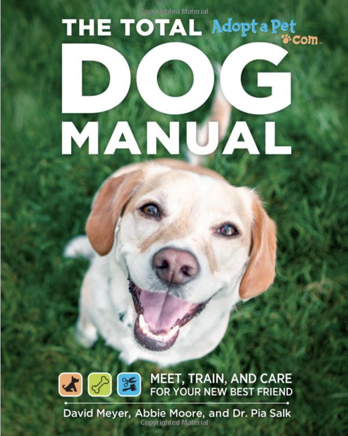 The Ultimate Holiday Gift Guide for Your Four‑Legged Family