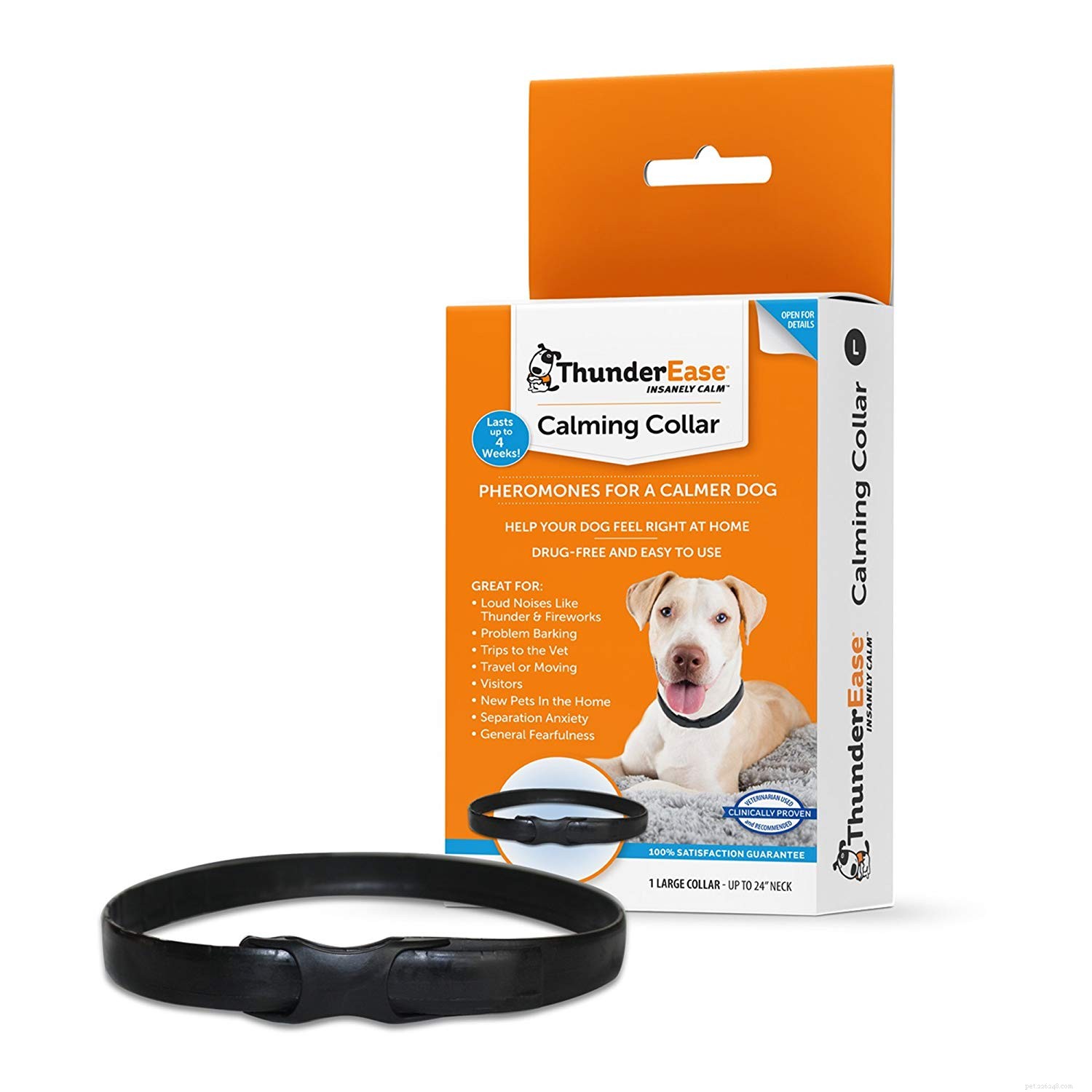The Ultimate Holiday Gift Guide for Your Four‑Legged Family