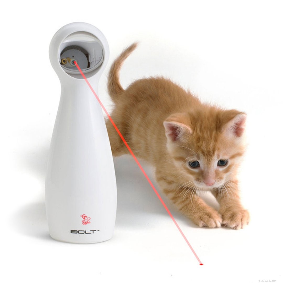 The Ultimate Holiday Gift Guide for Your Four‑Legged Family