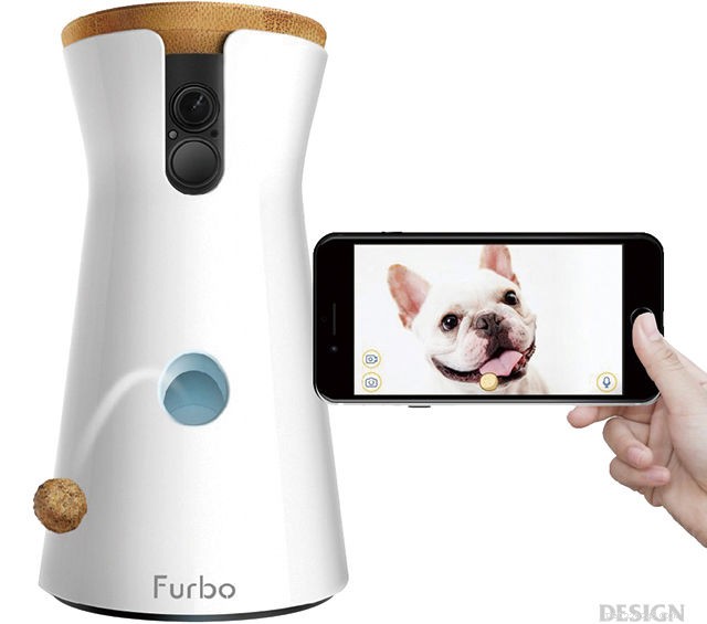 The Ultimate Holiday Gift Guide for Your Four‑Legged Family