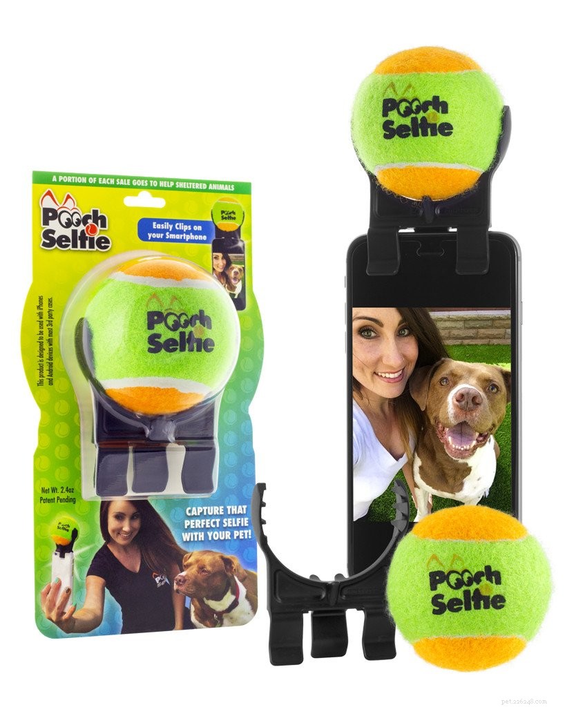 The Ultimate Holiday Gift Guide for Your Four‑Legged Family