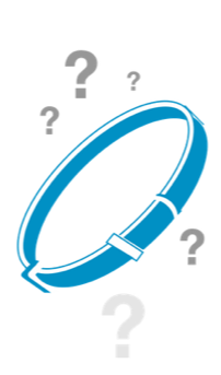 Are Flea Collars Effective? Discover Proven Results & Latest Tech