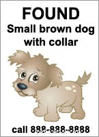 What to Do When You Find a Stray Pet: Safe Steps & Legal Tips