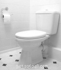 Step-by-Step Guide to Successfully Toilet Train Your Cat