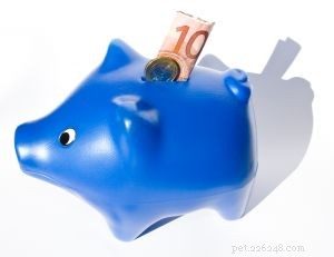 Smart Ways for Dog and Cat Owners to Cut Costs Without Sacrificing Care