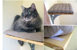 Create Engaging Cat Climbing Shelves for Your Home – A DIY Guide