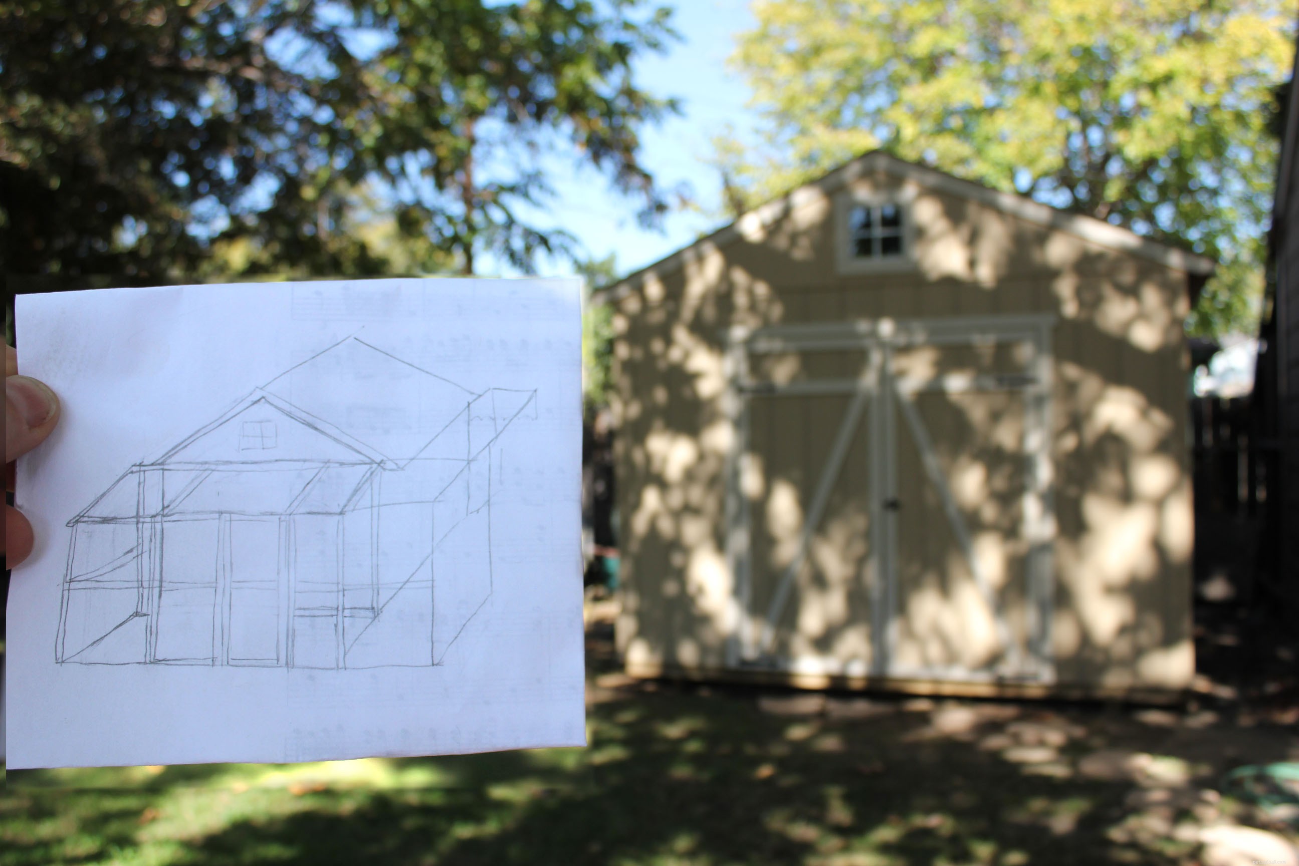 New Catio Brings Joy to Foster Cats: A Transformative Home Project