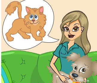 Understanding Cats: A Practical Guide for Dog Lovers