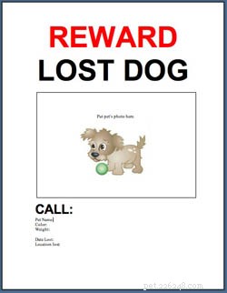 Free Professional Lost & Found Pet Flyer Template – Quick & Effective
