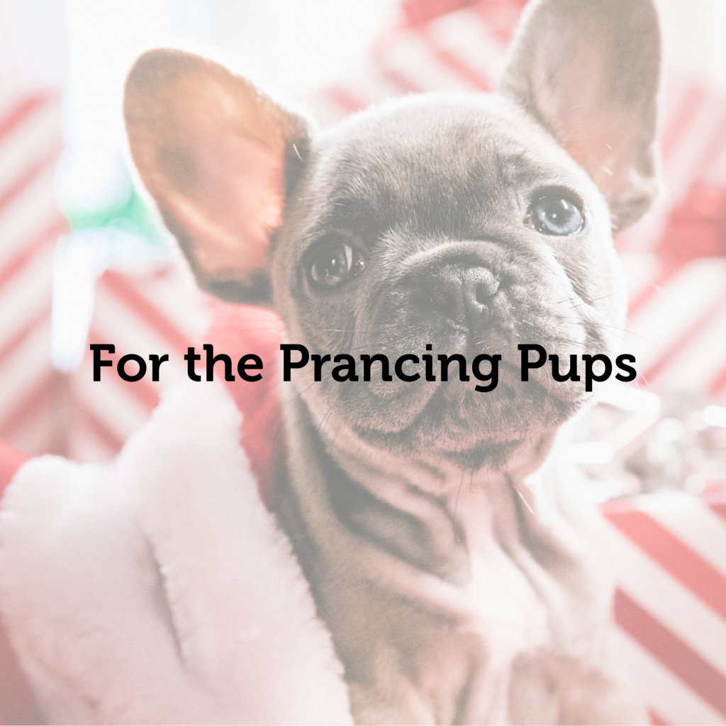Ultimate Holiday Gift Guide: Perfect Presents for Pets & Their Owners