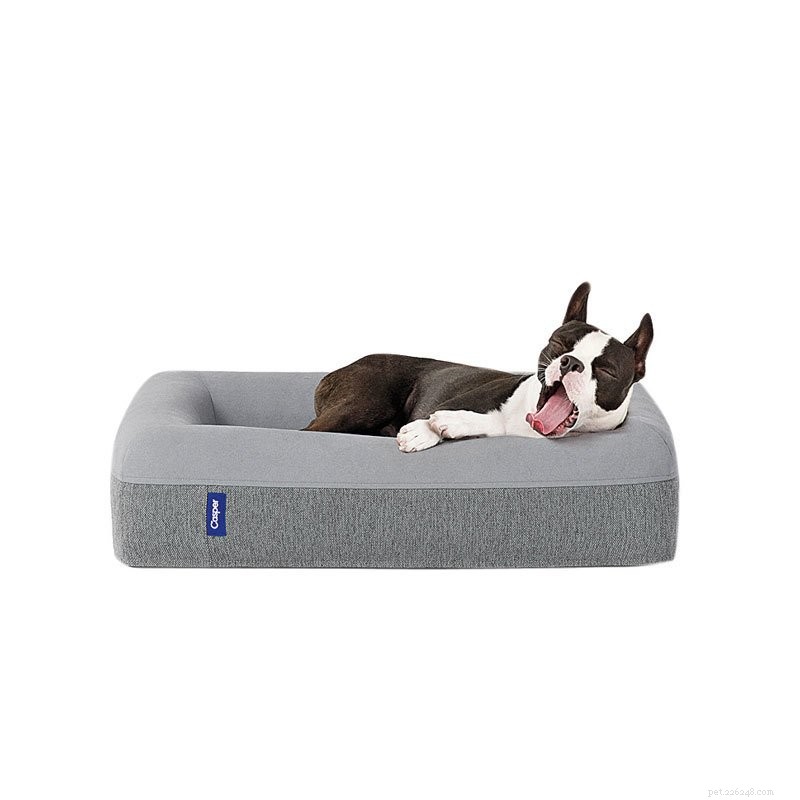 Ultimate Holiday Gift Guide: Perfect Presents for Pets & Their Owners