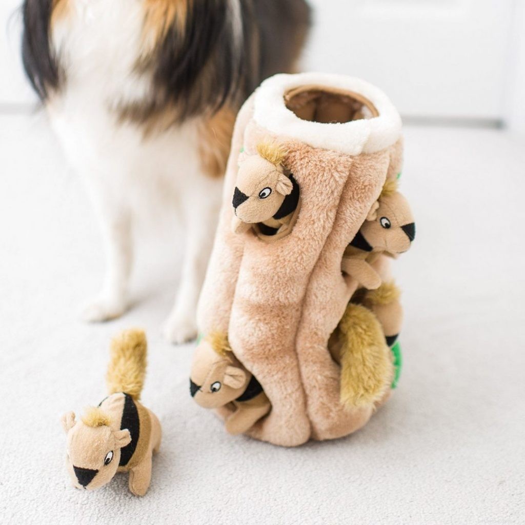 Ultimate Holiday Gift Guide: Perfect Presents for Pets & Their Owners