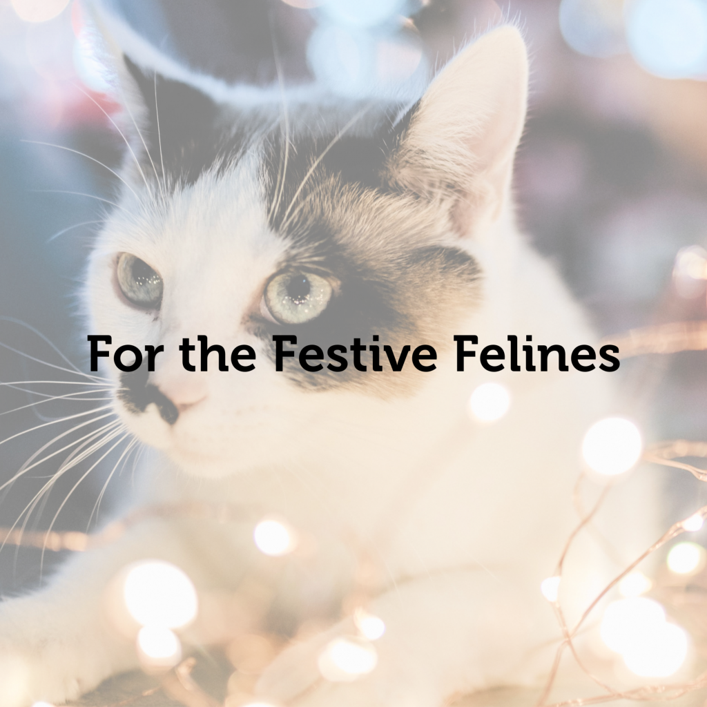 Ultimate Holiday Gift Guide: Perfect Presents for Pets & Their Owners