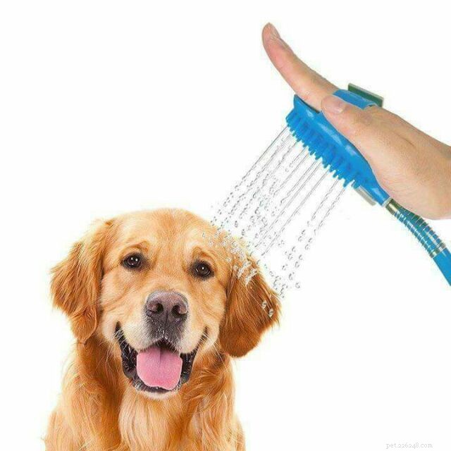 Ultimate Holiday Gift Guide: Perfect Presents for Pets & Their Owners