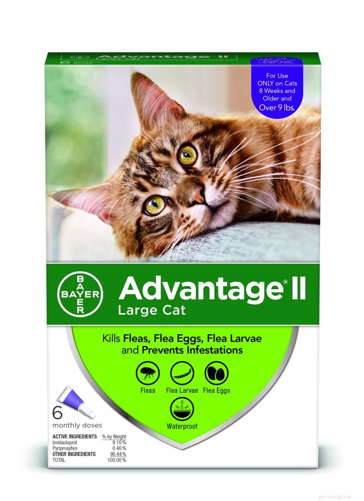 Ultimate Holiday Gift Guide: Perfect Presents for Pets & Their Owners