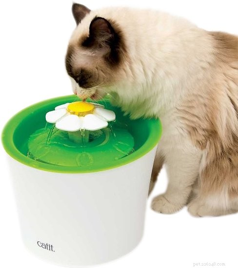 Ultimate Holiday Gift Guide: Perfect Presents for Pets & Their Owners