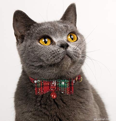 Ultimate Holiday Gift Guide: Perfect Presents for Pets & Their Owners
