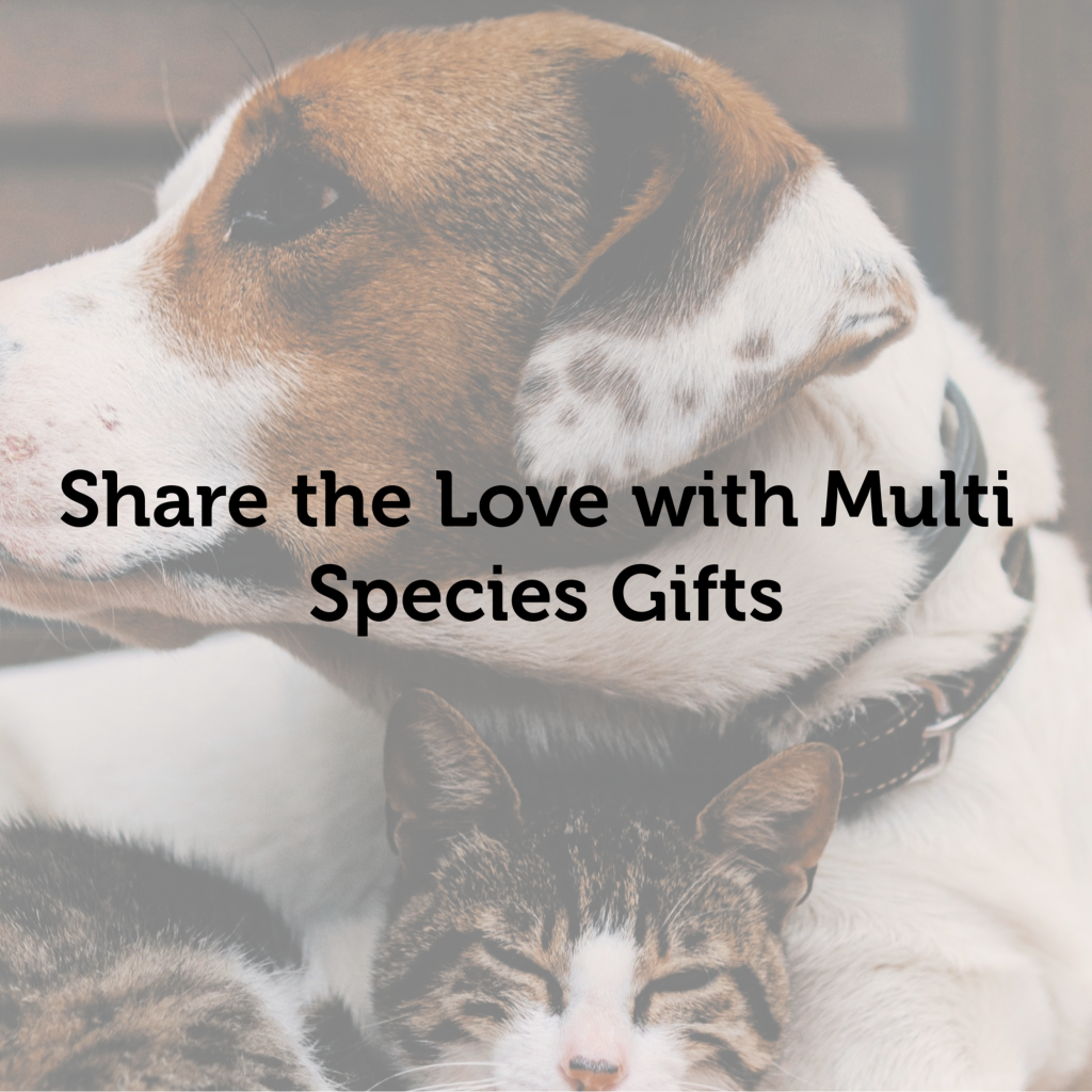 Ultimate Holiday Gift Guide: Perfect Presents for Pets & Their Owners