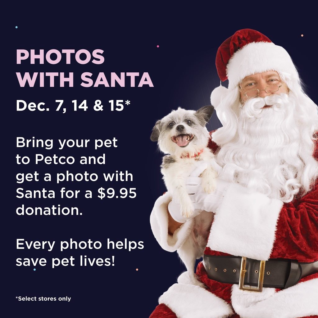 Ultimate Holiday Gift Guide: Perfect Presents for Pets & Their Owners