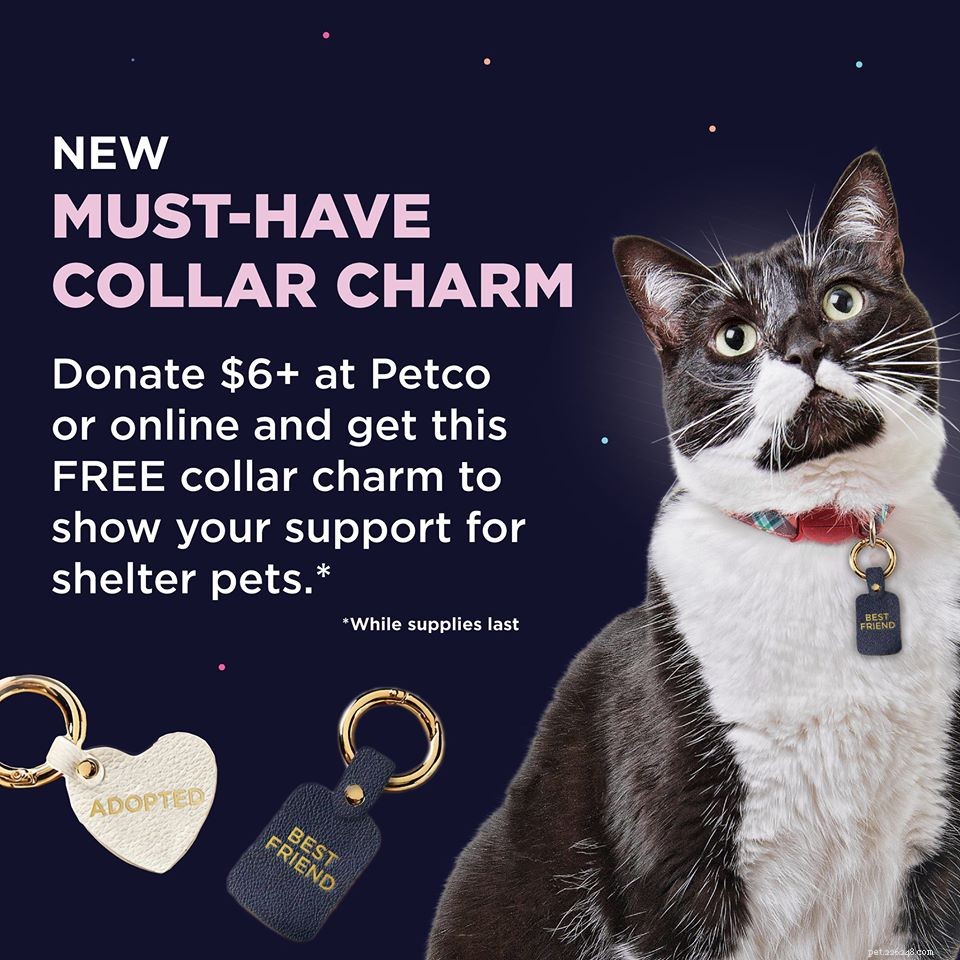 Ultimate Holiday Gift Guide: Perfect Presents for Pets & Their Owners