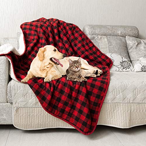 Ultimate Holiday Gift Guide: Perfect Presents for Pets & Their Owners