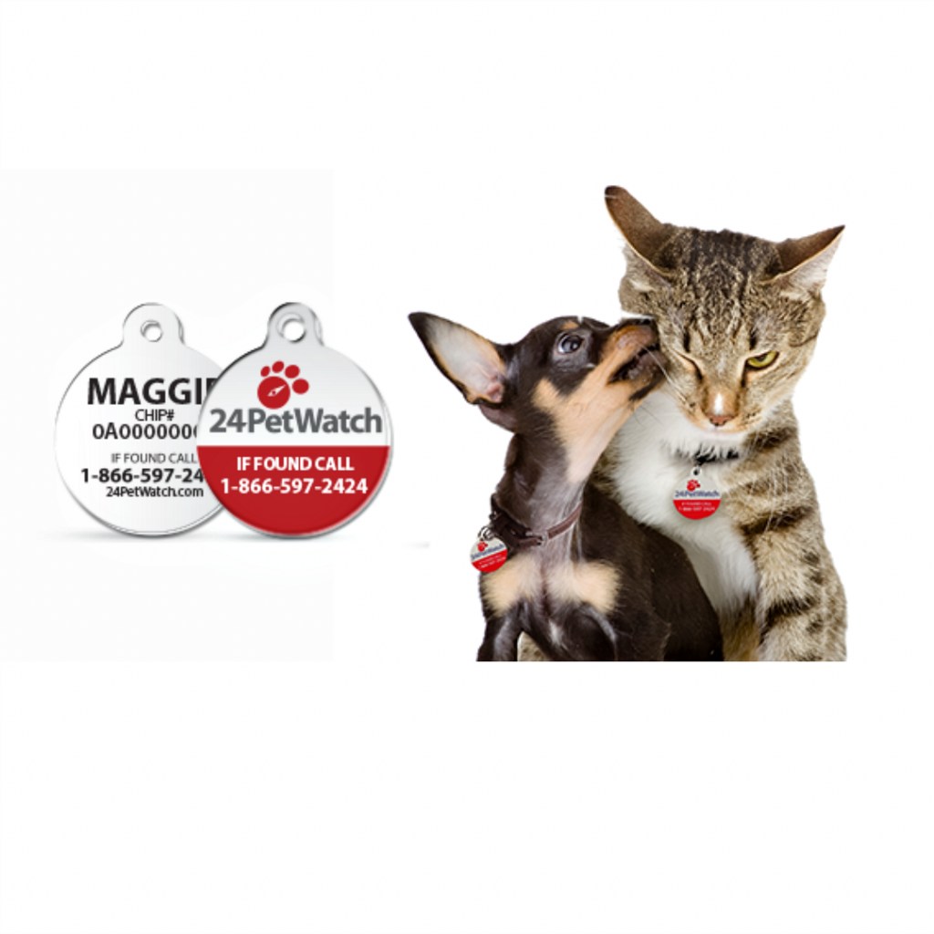 Ultimate Holiday Gift Guide: Perfect Presents for Pets & Their Owners