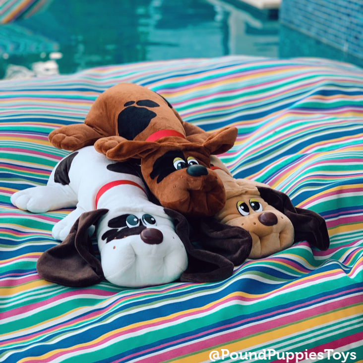 Ultimate Holiday Gift Guide: Perfect Presents for Pets & Their Owners