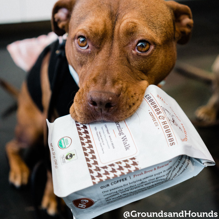 Ultimate Holiday Gift Guide: Perfect Presents for Pets & Their Owners