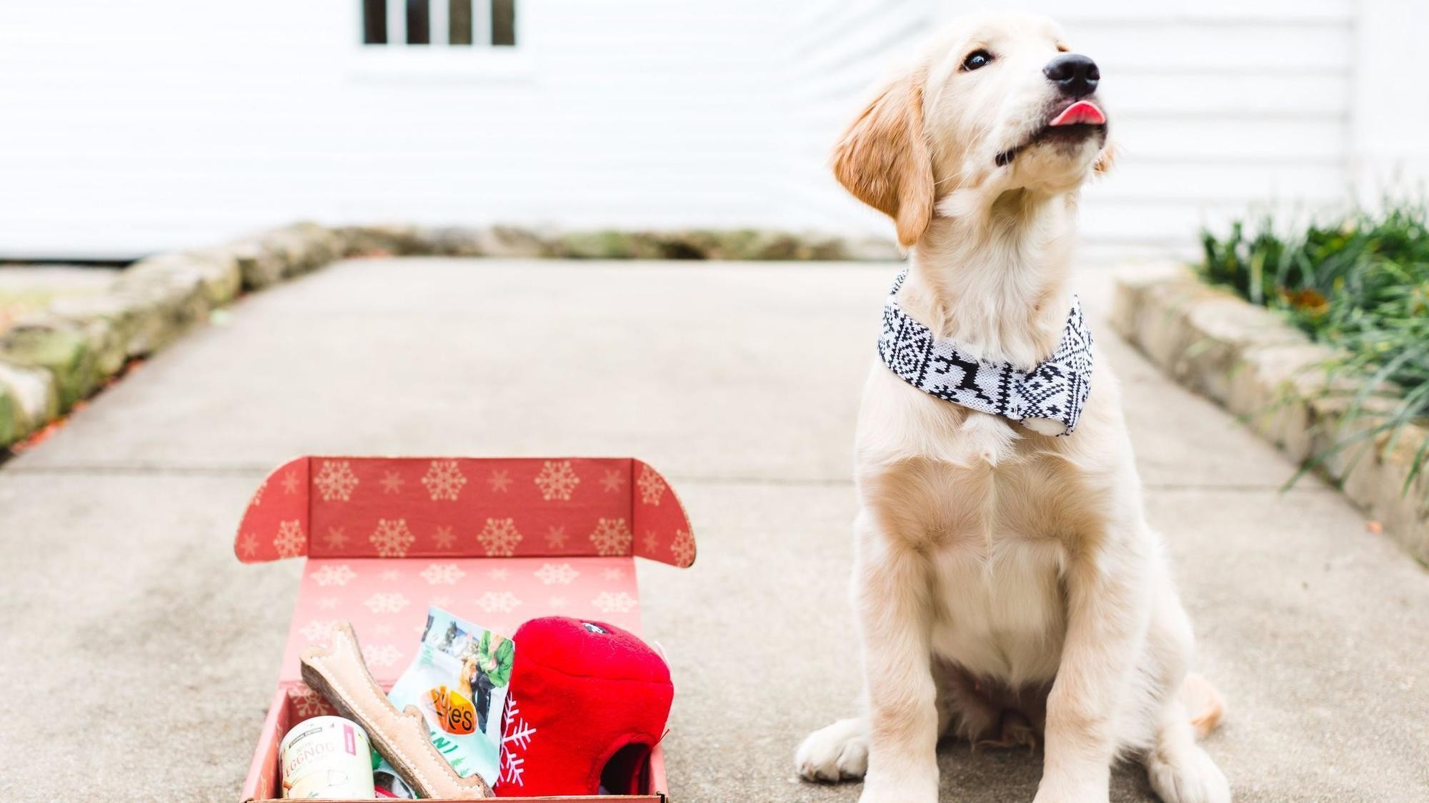 Must‑Have Holiday Gifts for Buster & Whisker