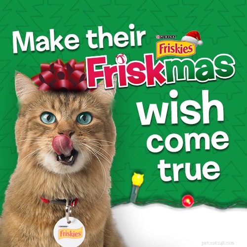 Must‑Have Holiday Gifts for Buster & Whisker