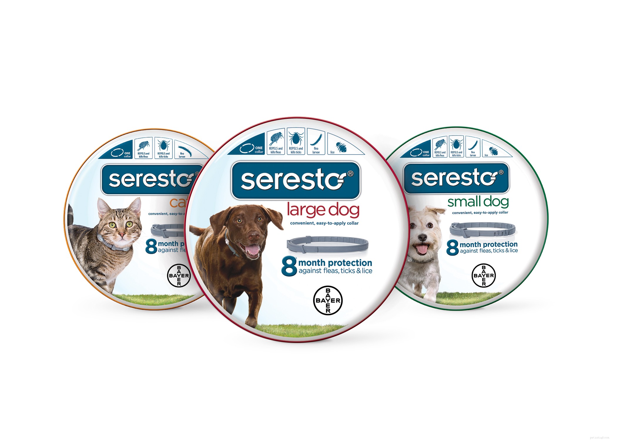 Must‑Have Holiday Gifts for Buster & Whisker